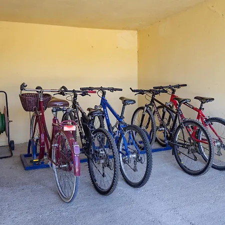 Gospodarstwo wiejskie Casa Carlotta Foiano Della Chiana